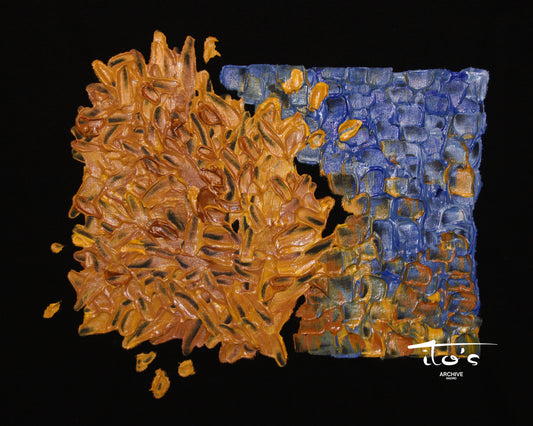 01/15 - Retiro Bajo el Frío - S